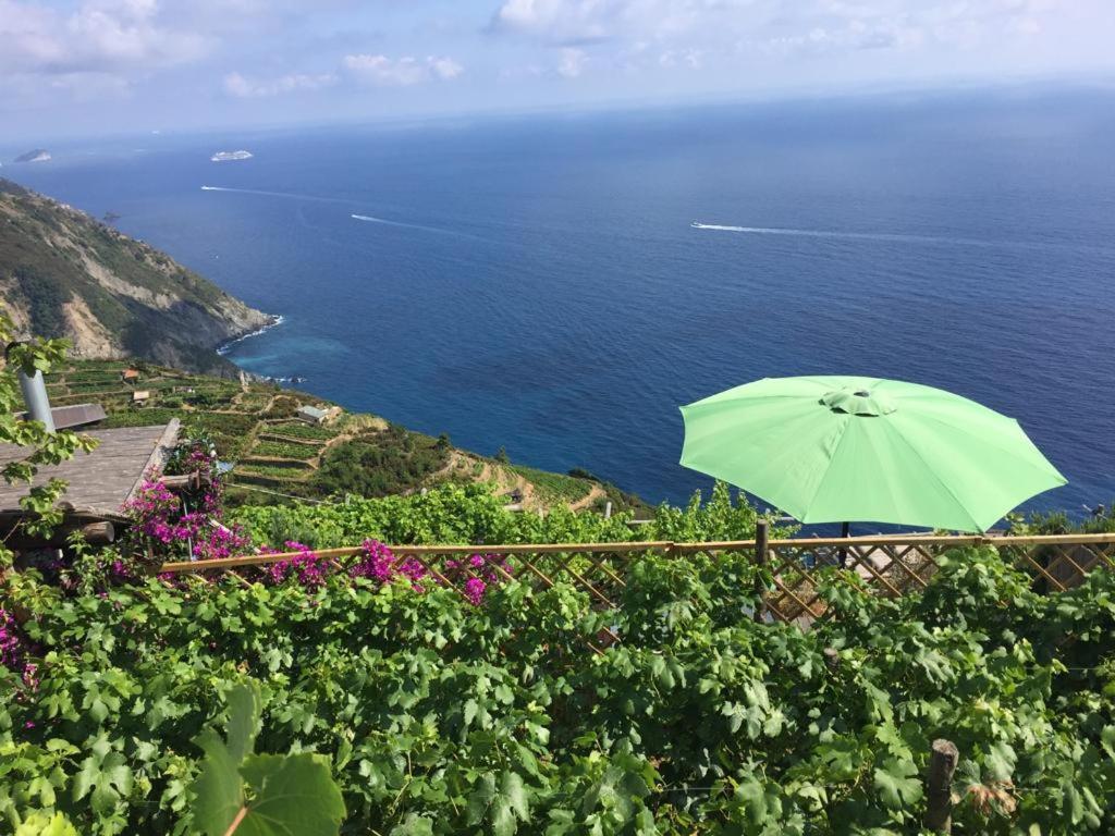 Refuge Uwabio Organic Vineyard Cinqueterre Villa Riomaggiore Exteriör bild