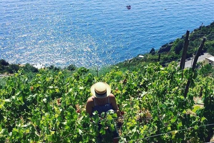 Refuge Uwabio Organic Vineyard Cinqueterre Villa Riomaggiore Exteriör bild