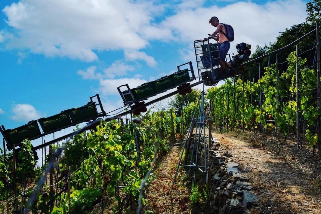 Refuge Uwabio Organic Vineyard Cinqueterre Villa Riomaggiore Exteriör bild