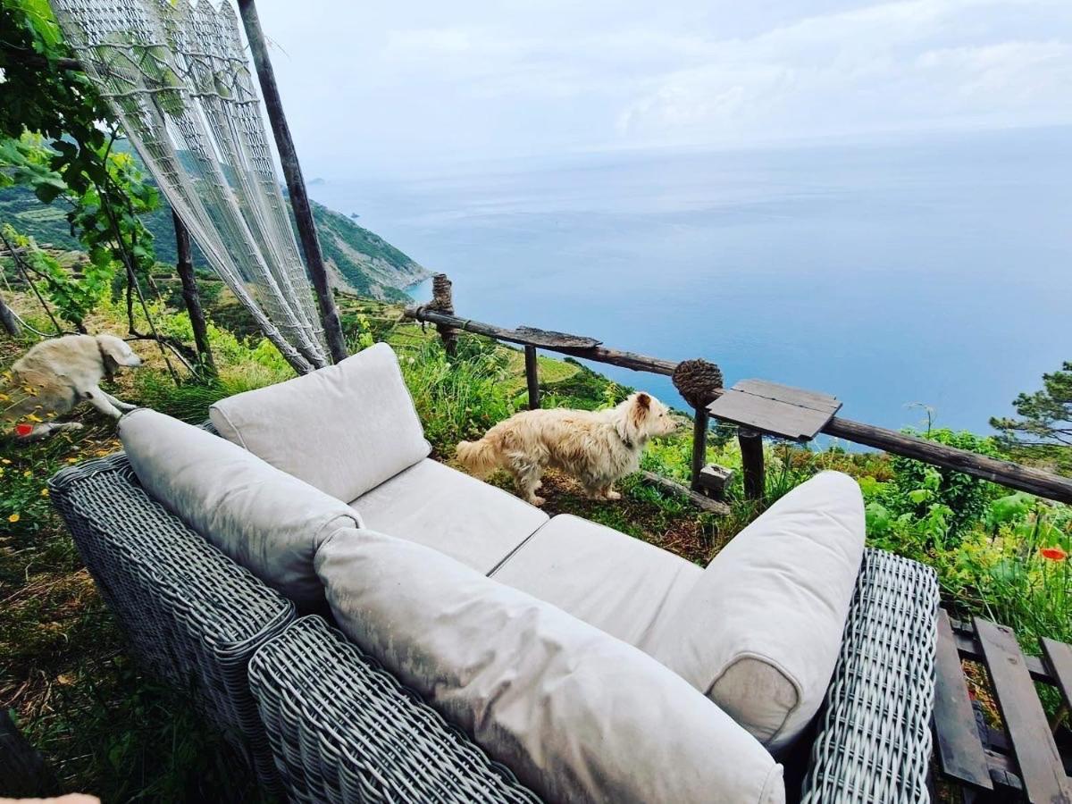 Refuge Uwabio Organic Vineyard Cinqueterre Villa Riomaggiore Exteriör bild